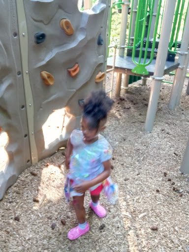 Park «Tukwila Park», reviews and photos, 15460 65th Ave S, Tukwila, WA 98188, USA