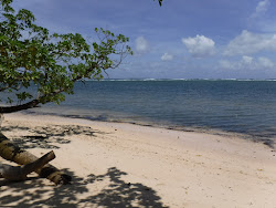 Photo de Orange Beach zone sauvage