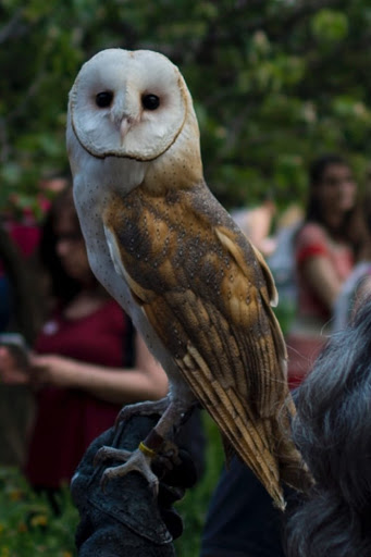 Art Museum «The Cloisters», reviews and photos, 99 Margaret Corbin Dr, New York, NY 10040, USA