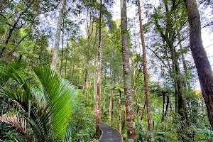 Eskdale Reserve image