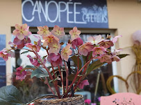 Photos du propriétaire du Restaurant Canopée café fleurs à Chabrignac - n°12