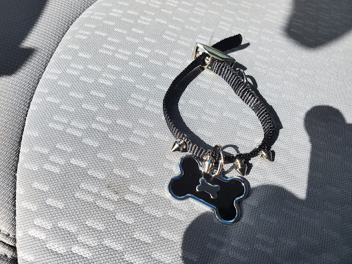 Pet Supply Store «Pet Supplies Plus», reviews and photos, 15060 Eureka Rd, Southgate, MI 48195, USA