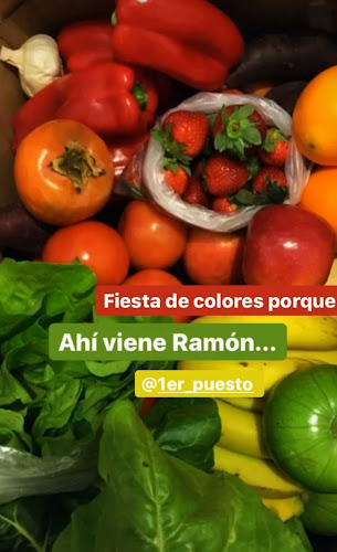 1er Puesto - Frutería