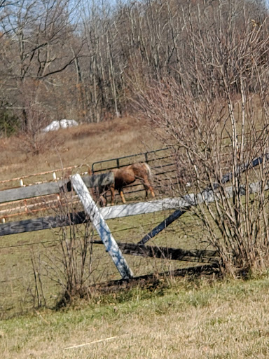 Tobacco Shop «Towne Centre Smoke Shop», reviews and photos, 1588 Union Valley Rd # B, West Milford, NJ 07480, USA