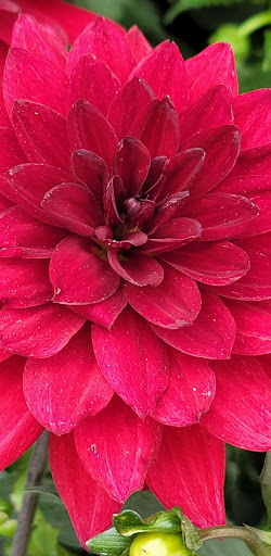 Home Improvement Store «The Home Depot», reviews and photos, 7 N Park Dr, Newton, NJ 07860, USA