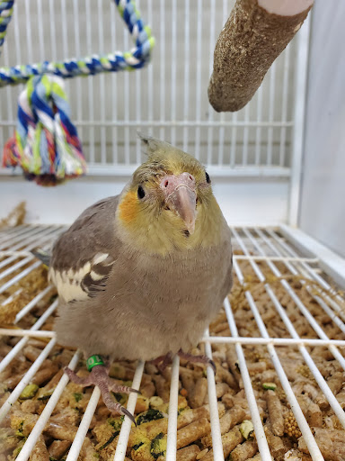 Pet Supply Store «Pet Supplies Plus», reviews and photos, 887 N Lexington-Springmill Rd, Mansfield, OH 44906, USA