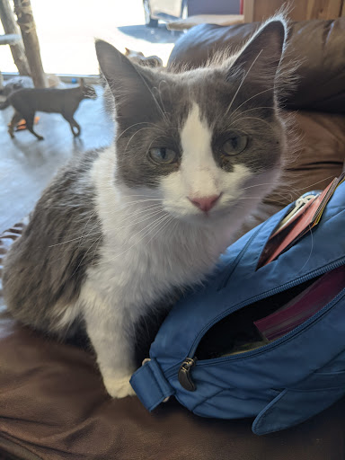 Pet Supply Store «Animal House Pet Supplies», reviews and photos, 733 Phillips Blvd, Sauk City, WI 53583, USA