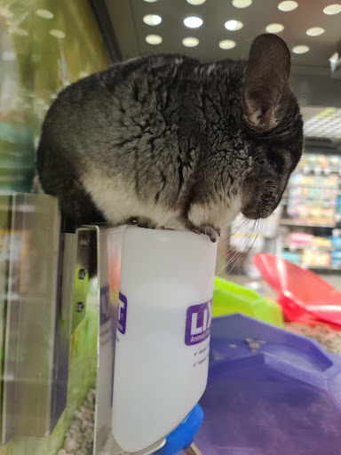 Pet Supply Store «Petco Animal Supplies», reviews and photos, 7215 170th Ave NE #115, Redmond, WA 98052, USA