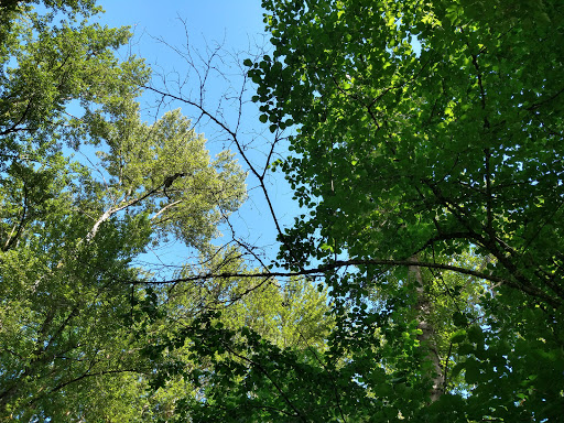 Park «Meldrum Bar Park», reviews and photos, 19 Meldrum Bar Park Rd, Gladstone, OR 97027, USA