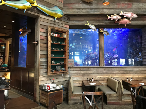 Sporting Goods Store «Bass Pro Shops», reviews and photos, 7777 Victoria Gardens Ln, Rancho Cucamonga, CA 91739, USA