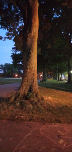 Park «Dyker Beach Park», reviews and photos, 334 Bay 8th St, Brooklyn, NY 11228, USA