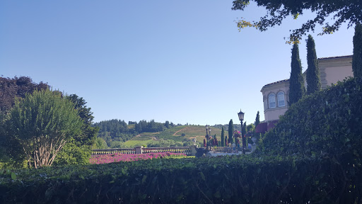 Winery «Ferrari-Carano Vineyards and Winery», reviews and photos, 8761 Dry Creek Rd, Healdsburg, CA 95448, USA