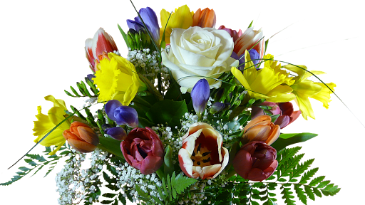 Florist «Designs North Florist & Interiors», reviews and photos, 504 E Cornwallis Dr a, Greensboro, NC 27405, USA