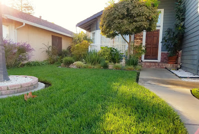 Ortiz Lawn Care – Residential Yard Maintenance, Reliable Lawn Service & Yard Care