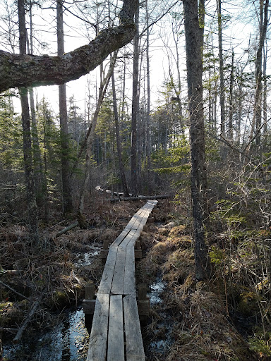 Jack Baker Woods Preserve (Rockland Bog Trails Thomaston Trailhead)