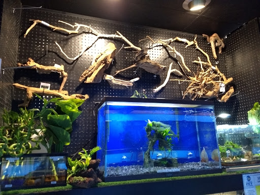 Pet Store «Laconia Pet Center», reviews and photos, 1343 Union Ave, Laconia, NH 03246, USA