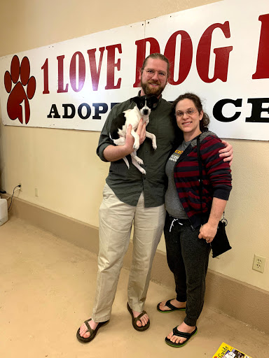 Animal Rescue Service «1 Love Dog Rescue», reviews and photos