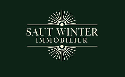 Saut Winter Immobilier à Gassin