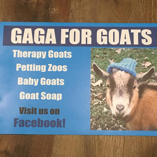 Gaga for Goats