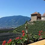 Photo n°8 de l'avis de alegh76. fait le 24/08/2022 à 09:58 sur le  Hotel Moserhof à Schenna