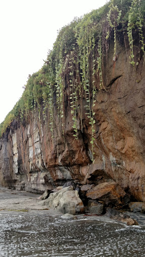 State Park «Moonlight State Beach», reviews and photos, 400 B St, Encinitas, CA 92024, USA