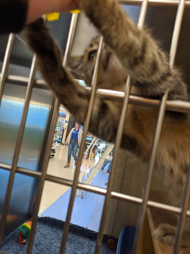 Pet Supply Store «PetSmart», reviews and photos, 5011 Grande Shops Ave, Medina, OH 44256, USA