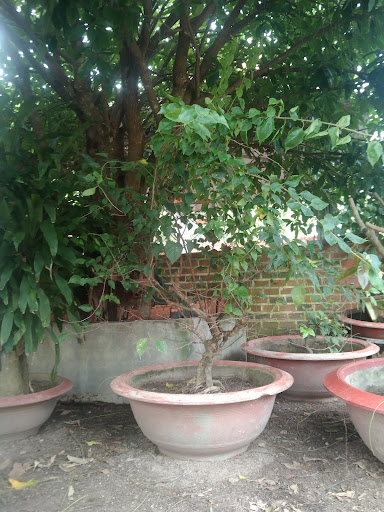 Top 1 cháy cửa hàng.báoongkhoi Huyện Hớn Quản Bình Phước 2022