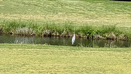 Golf Course «Blue Heron Golf Course», reviews and photos, 3270 Romancoke Rd, Stevensville, MD 21666, USA