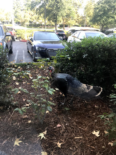 Real Estate Agents «Re/Max Gold - Chad Phillips», reviews and photos, 2998 Douglas Blvd #125, Roseville, CA 95661, USA