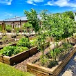 Riviera Beach Community Garden