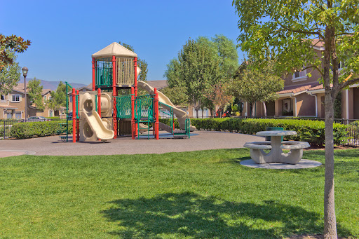 Homecoming at Terra Vista image