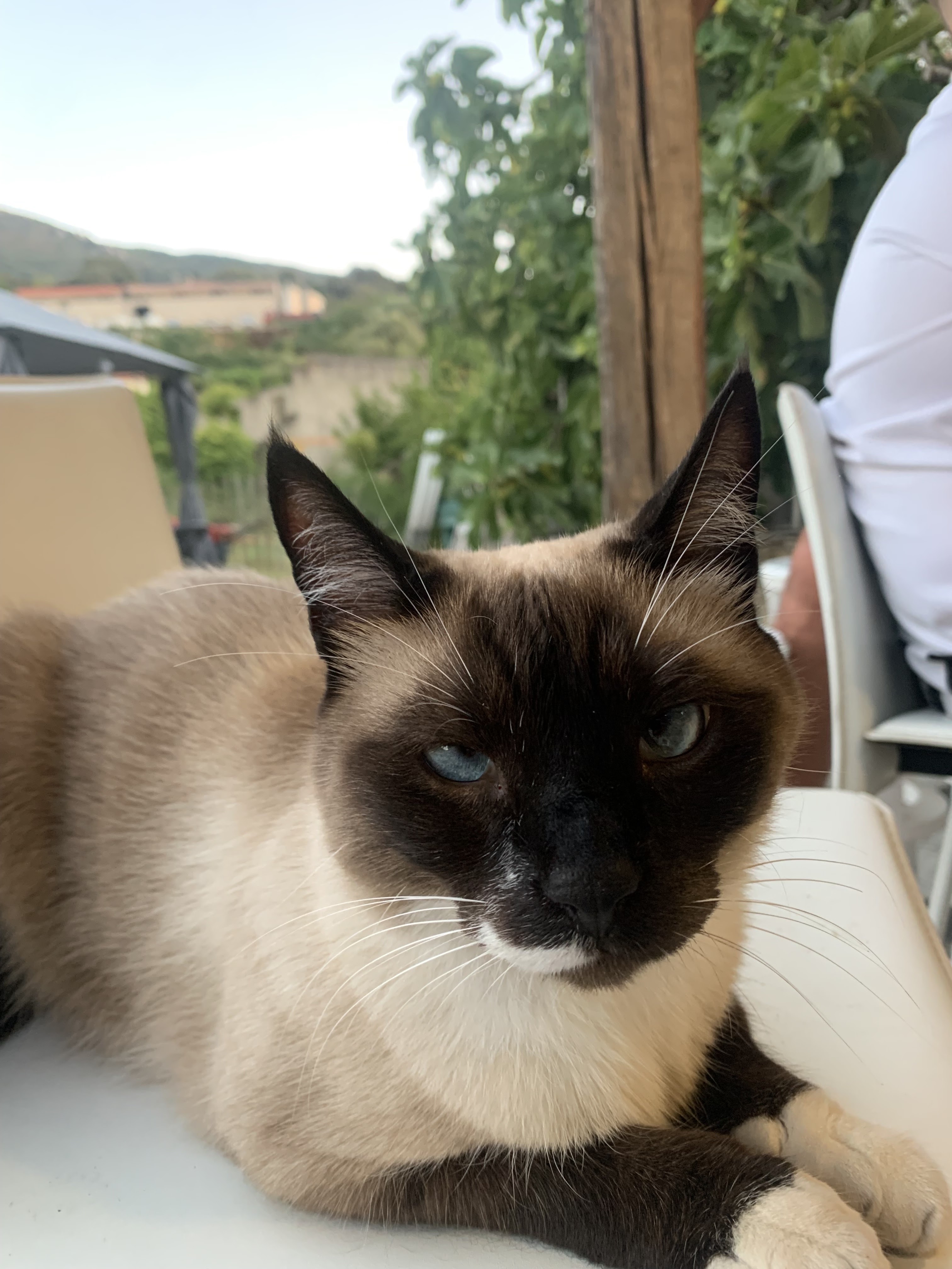 Photo n° 2 de l'avis de Robin.o fait le 10/08/2022 à 18:29