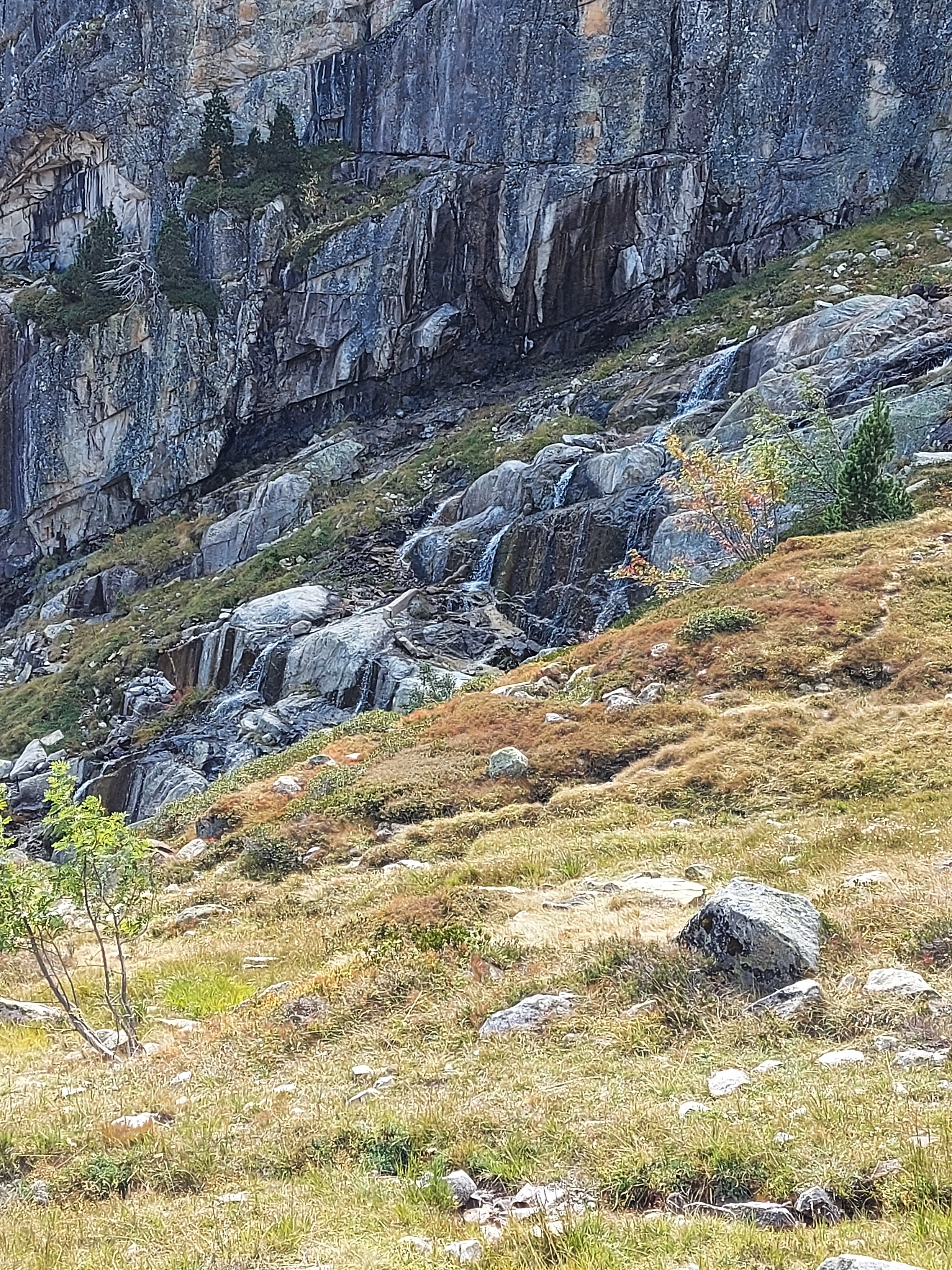Photo n° 2 de l'avis de Patty.P fait le 17/09/2020 à 16:06