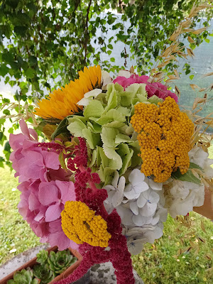 Les fleurs d'Aline à Violaines