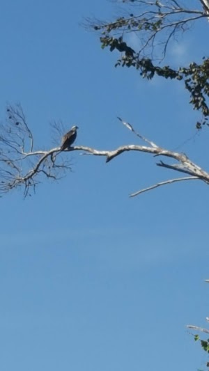 Turkey Creek Sanctuary - photo 26