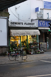 Gemini's Florist