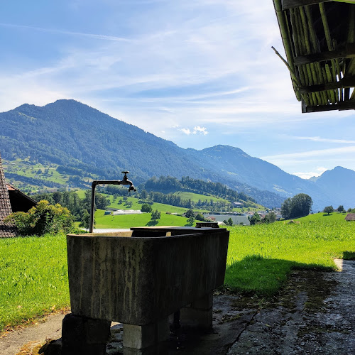 Rezensionen über Wohnmobil und Camper Stellplatz Hegihof in Schwyz - Campingplatz