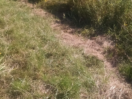 Nature Preserve «Orland Grassland», reviews and photos, 167th Street & S La Grange Road, Tinley Park, IL 60487, USA