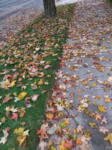 Market «Westville Quality Market», reviews and photos, 243 Alden Ave, New Haven, CT 06515, USA