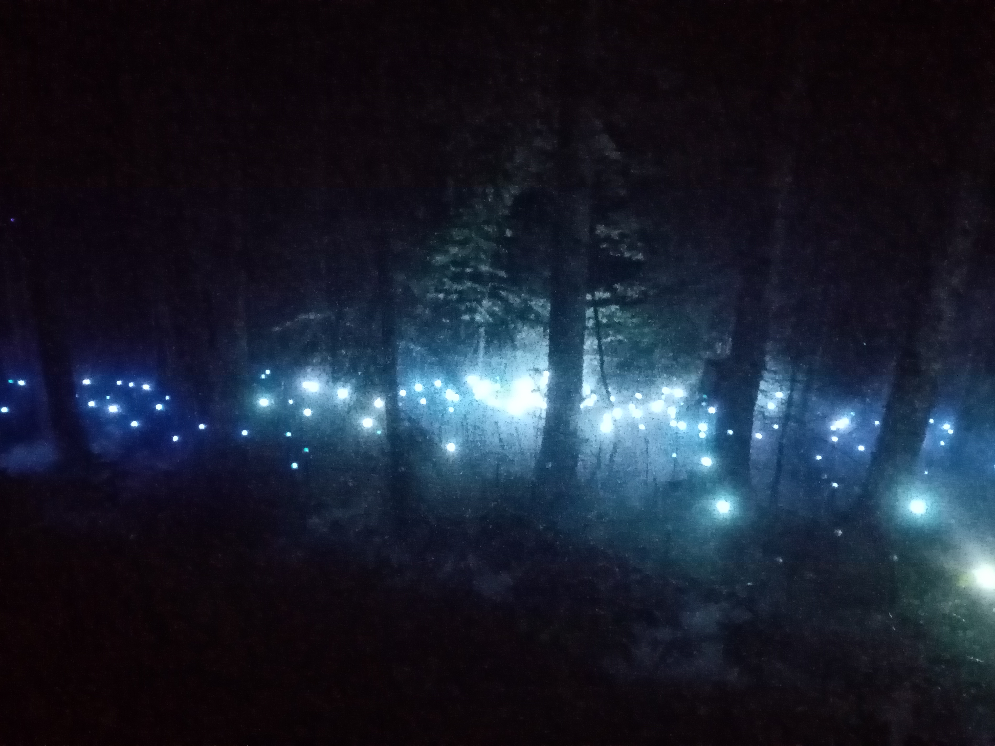 Photo n° 1 de l'avis de Victor.a fait le 17/08/2021 à 21:24