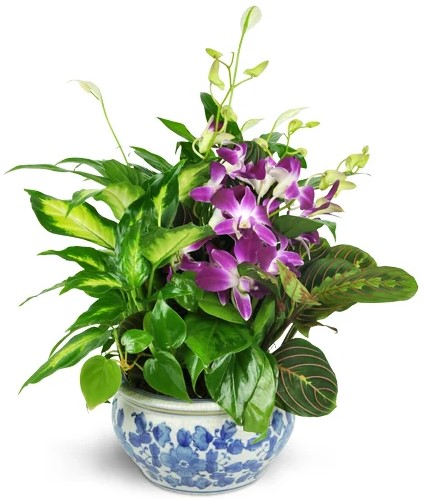 Florist «Belmar Flower Shop», reviews and photos, 3319 Preston Hwy, Louisville, KY 40213, USA