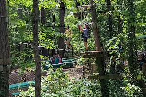 Treetop Quest Dunwoody image