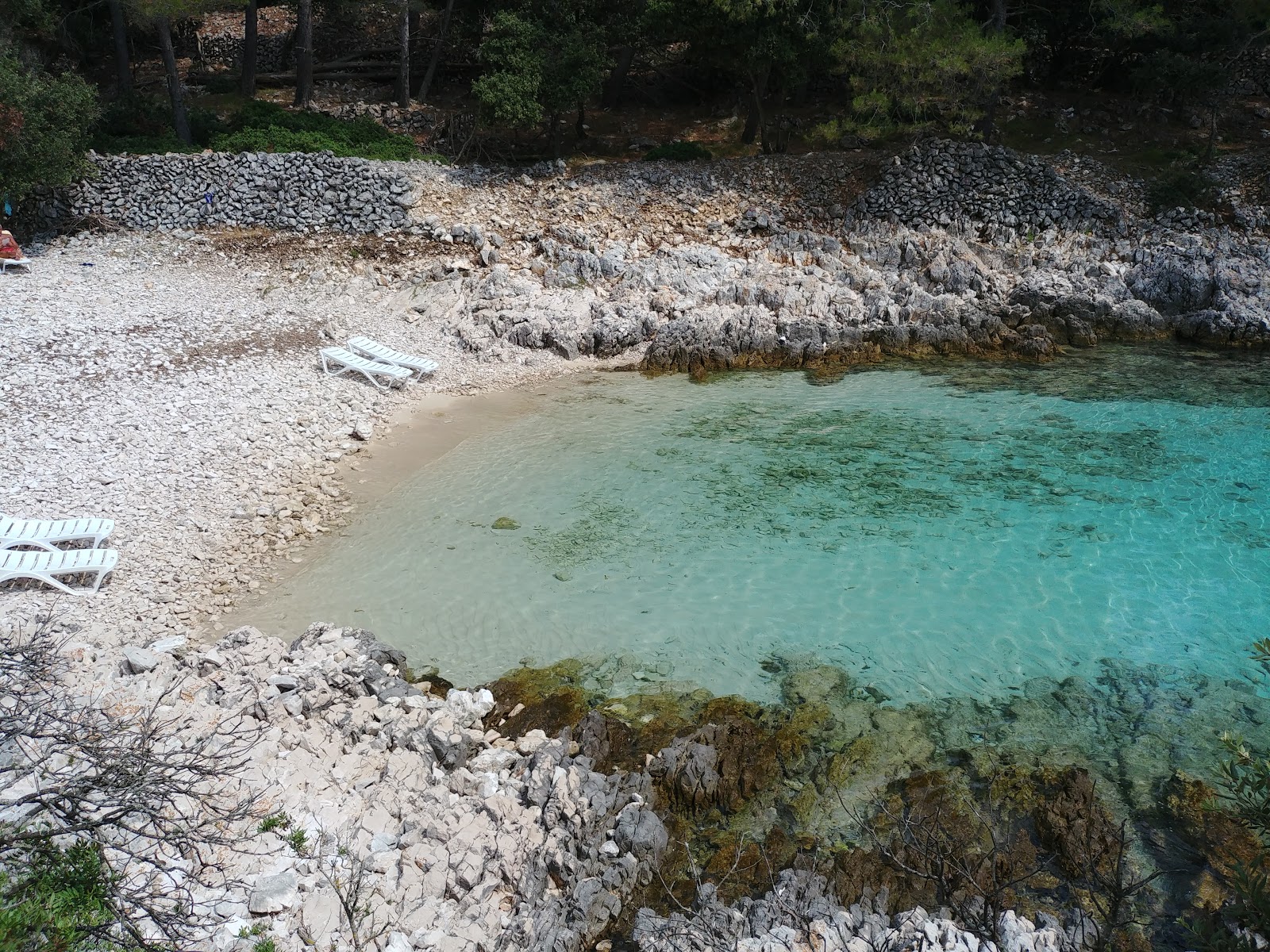 Cuanguski Zaljev'in fotoğrafı - rahatlamayı sevenler arasında popüler bir yer