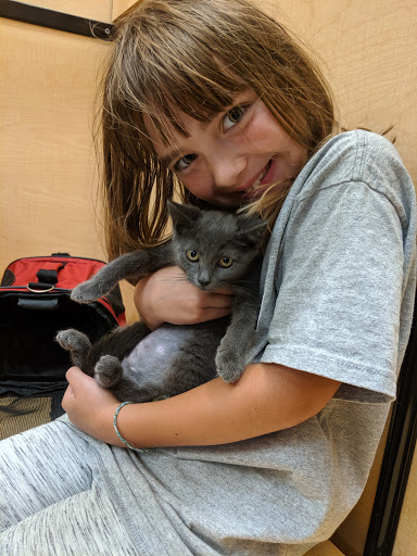 Pet Supply Store «PetSmart», reviews and photos, 5011 Grande Shops Ave, Medina, OH 44256, USA