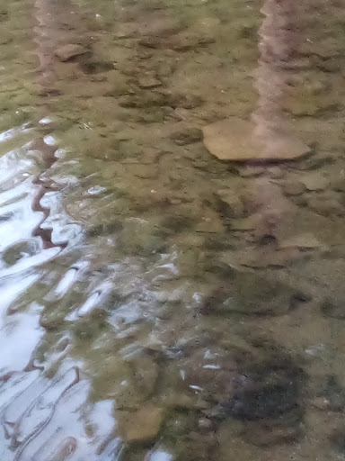 Art Museum «Richmond Art Museum», reviews and photos, 350 Hub Etchison Pkwy, Richmond, IN 47374, USA