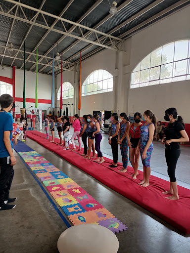 Escuela de Gimnasia Artística Disciplina e Integración