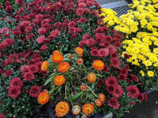 Hardware Store «Orchard Supply Hardware», reviews and photos, 2245 Gellert Blvd, South San Francisco, CA 94080, USA