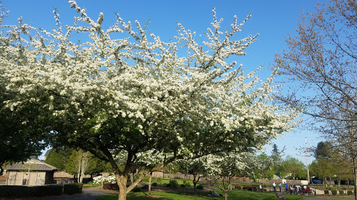 Park «Reedville Creek Park», reviews and photos, 7500 SE Frances St, Hillsboro, OR 97123, USA