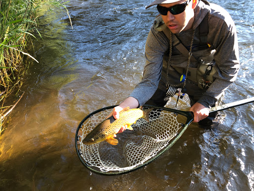 Fishing Store «Blue Quill Angler», reviews and photos, 1532 Bergen Pkwy, Evergreen, CO 80439, USA