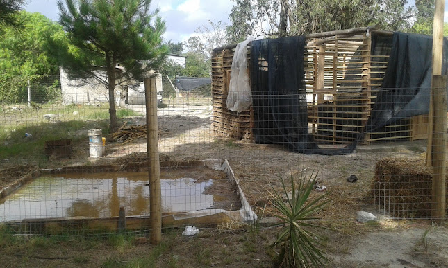Horarios de Barraca El Pino